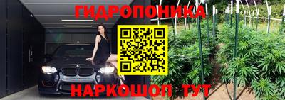 шишки Славянск-на-Кубани